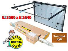 Doorhan RSD-01S 3000х2640 мм (зол. дуб)